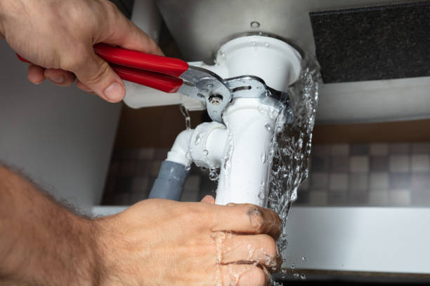Best Professional water damage repair  in Fairmount, CO