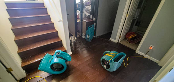 Best Basement water damage restoration  in Fairmount, CO