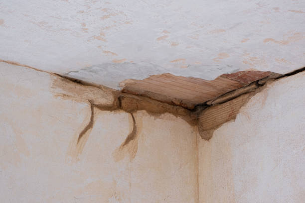Best Water damage restoration company  in Fairmount, CO