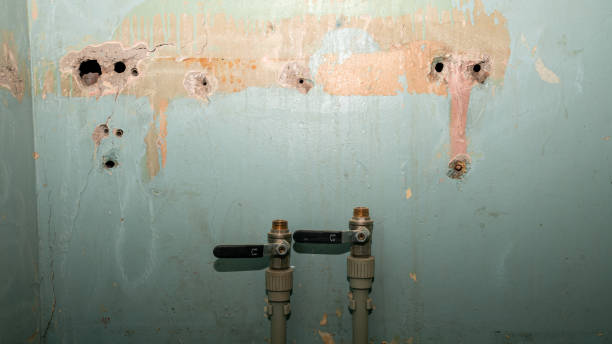 Best Water damage restoration services  in Fairmount, CO